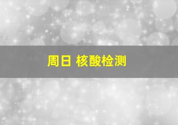 周日 核酸检测